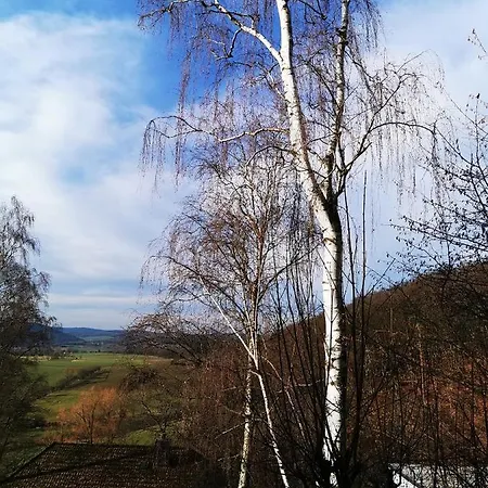 Geraeumige 2-Z Wohnung Im Gruenen, Garten, Terrasse, Ruhig, Natur, Phantastischer Blick! Marburg Exterior photo