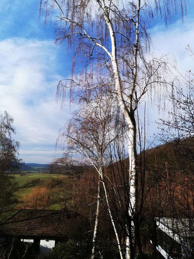 Geraeumige 2-z Im Gruenen, Garten, Terrasse, Ruhig, Natur, Phantastischer Blick! Apartment