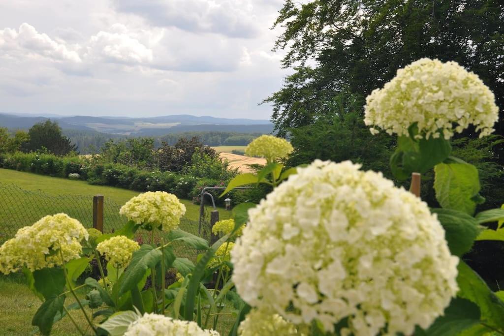 Apartment Geraeumige 2-z Im Gruenen, Garten, Terrasse, Ruhig, Natur, Phantastischer Blick!