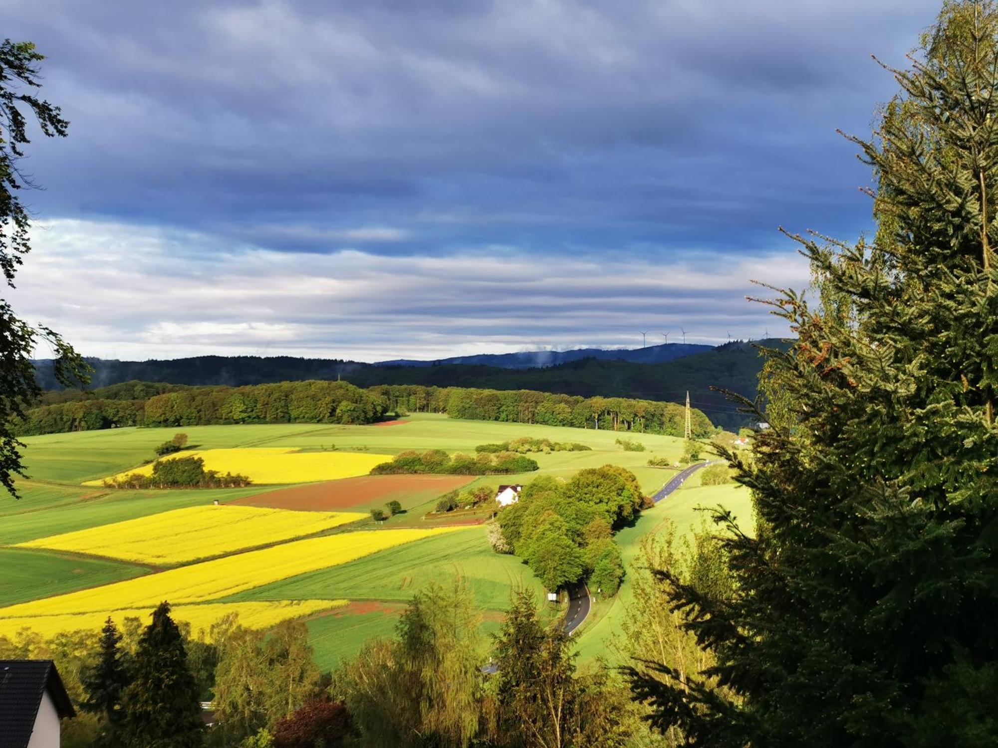 Geraeumige 2-z Im Gruenen, Garten, Terrasse, Ruhig, Natur, Phantastischer Blick! * Marburg