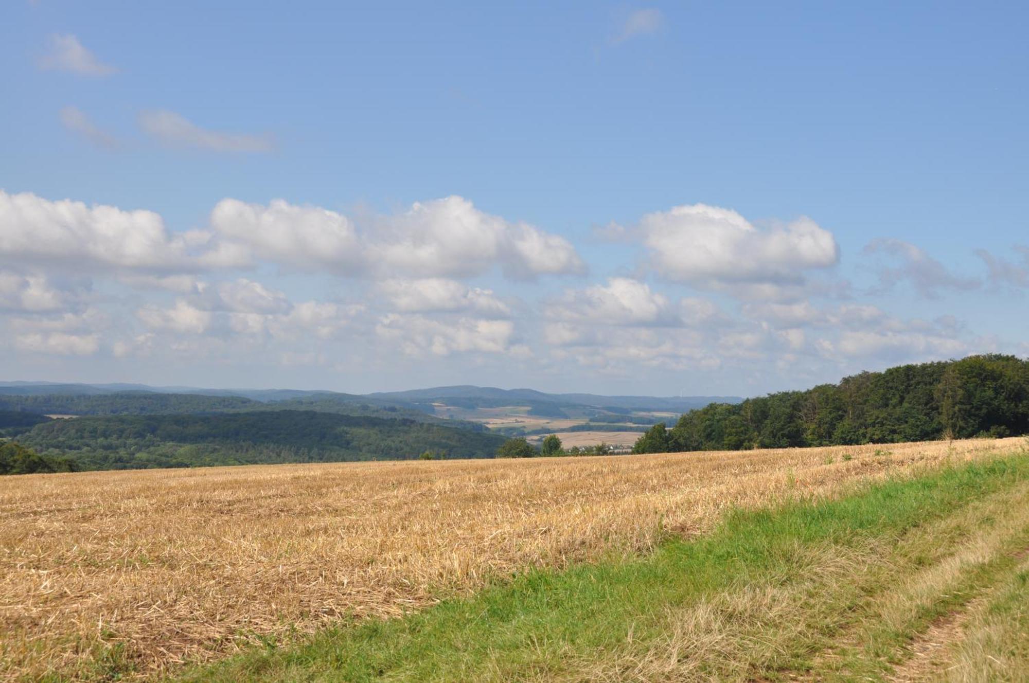 Geraeumige 2-z Im Gruenen, Garten, Terrasse, Ruhig, Natur, Phantastischer Blick! * Marburg